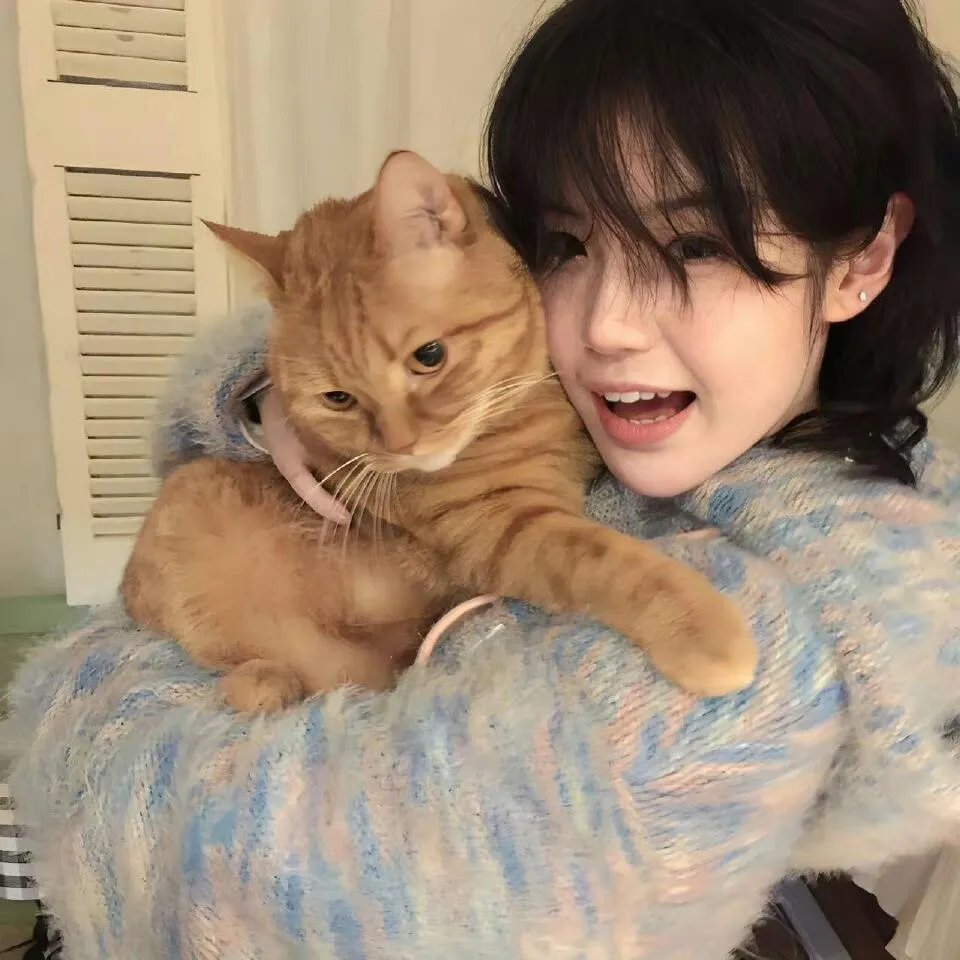 非洲：塞伦盖蒂国家公园